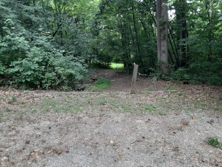 20210712 150802 768x576