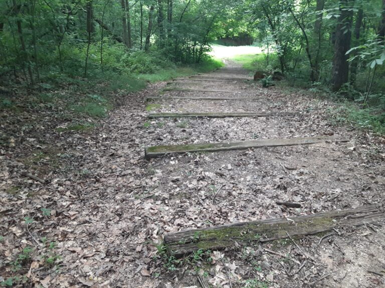 20210712 150819 768x576