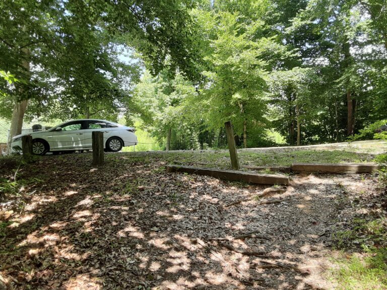 20210712 151052 768x576