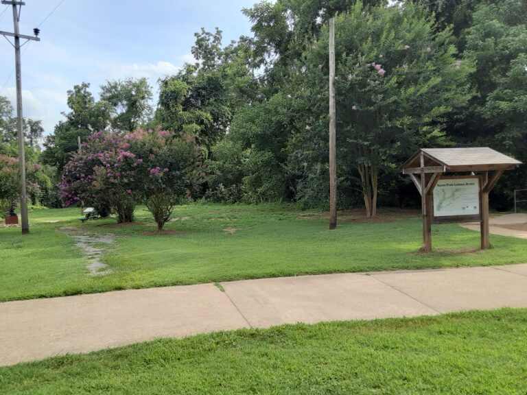 20210712 170440 768x576