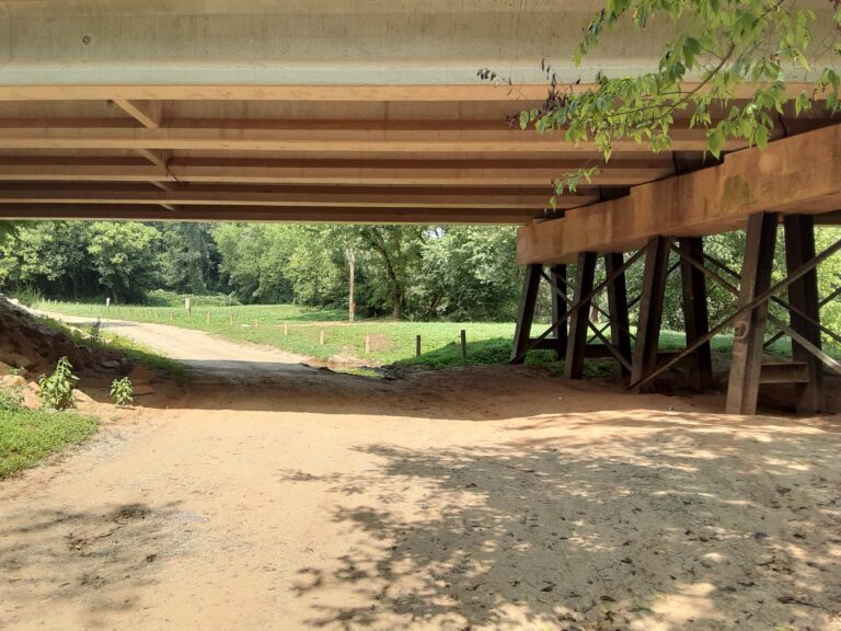 20210802 144628 768x576