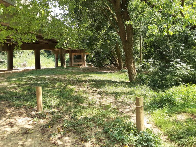 20210802 144630 768x576