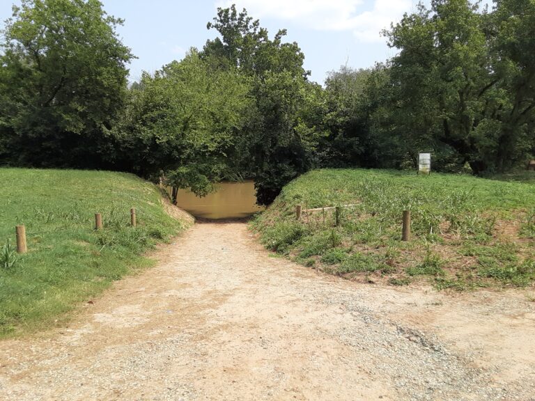 20210802 144916 768x576