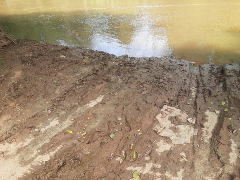 20210802 144936 768x576