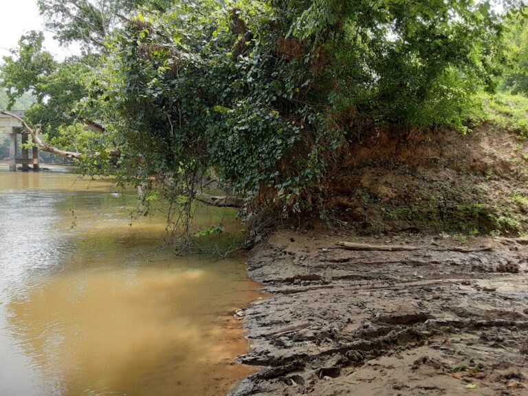 20210802 144949 768x576