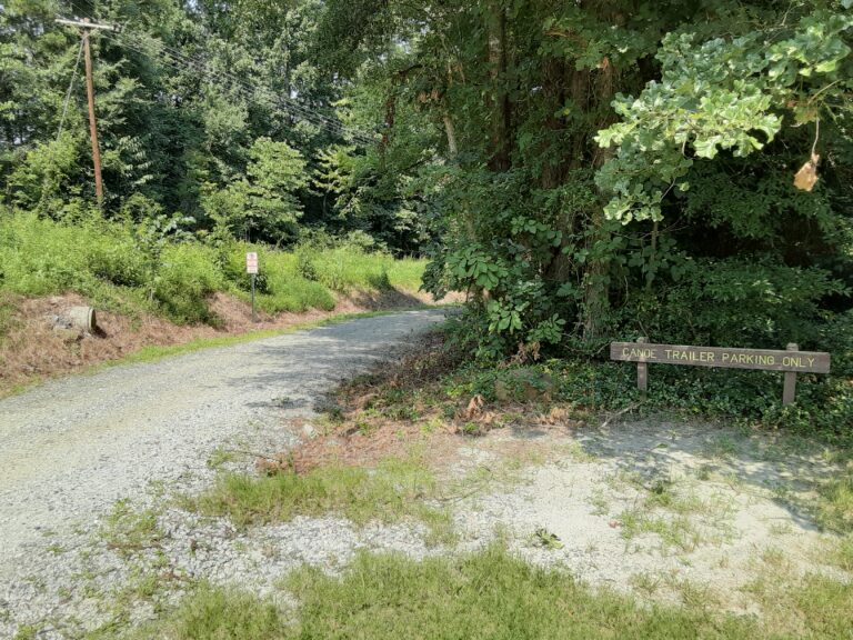 20210802 152917 768x576