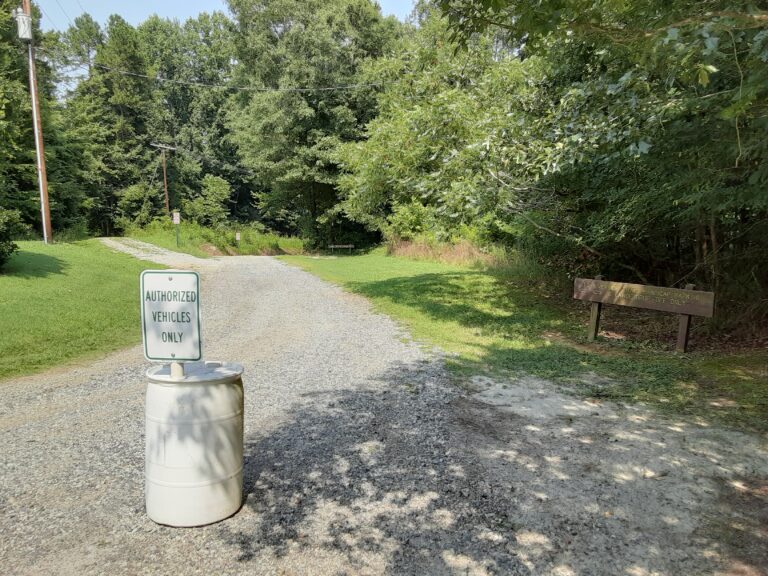 20210802 152948 768x576