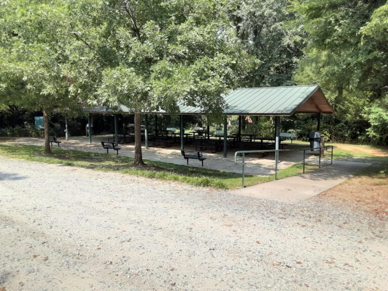 20210802 153129 768x576