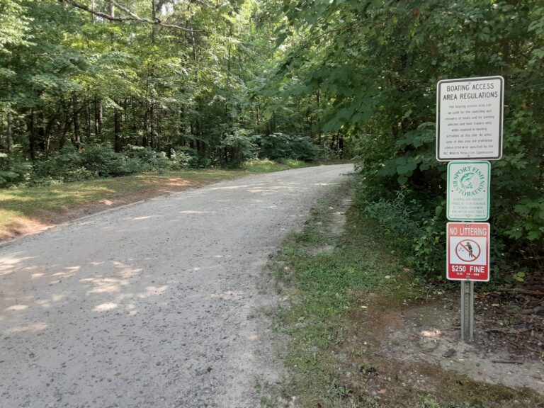 20210802 155801 768x576