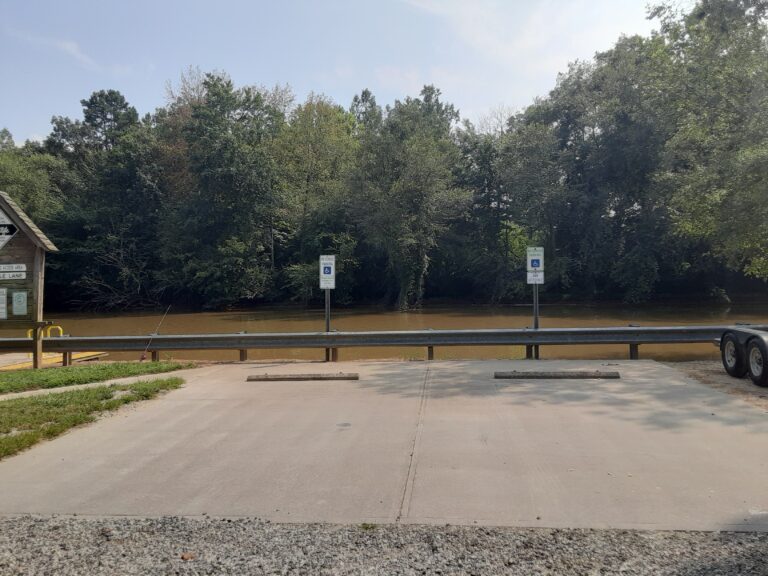 20210802 160311 768x576