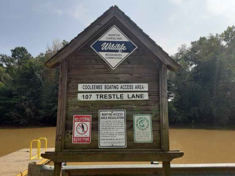 20210802 160332 1 768x576