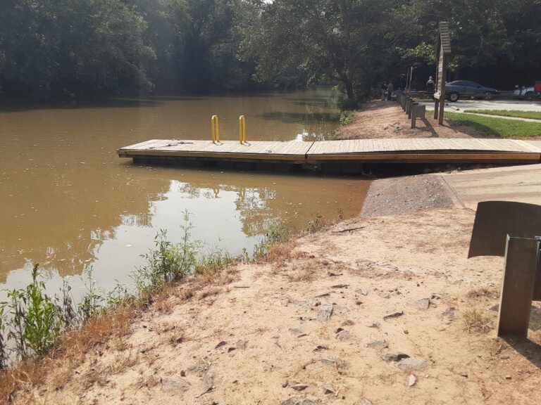 20210802 160406 768x576