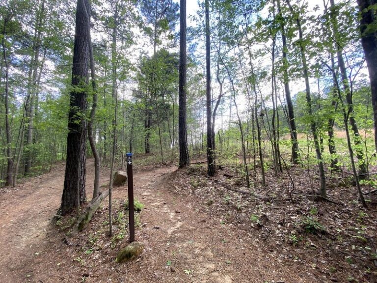 Copperhead 1 768x576