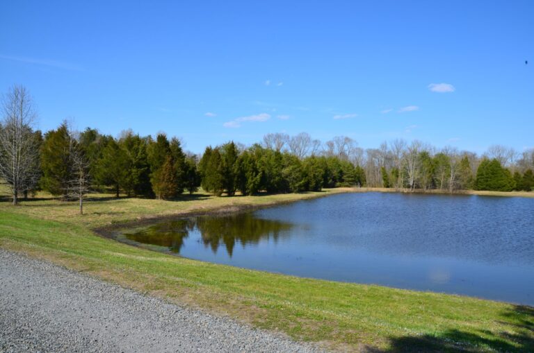 DanRiverCampground 768x509