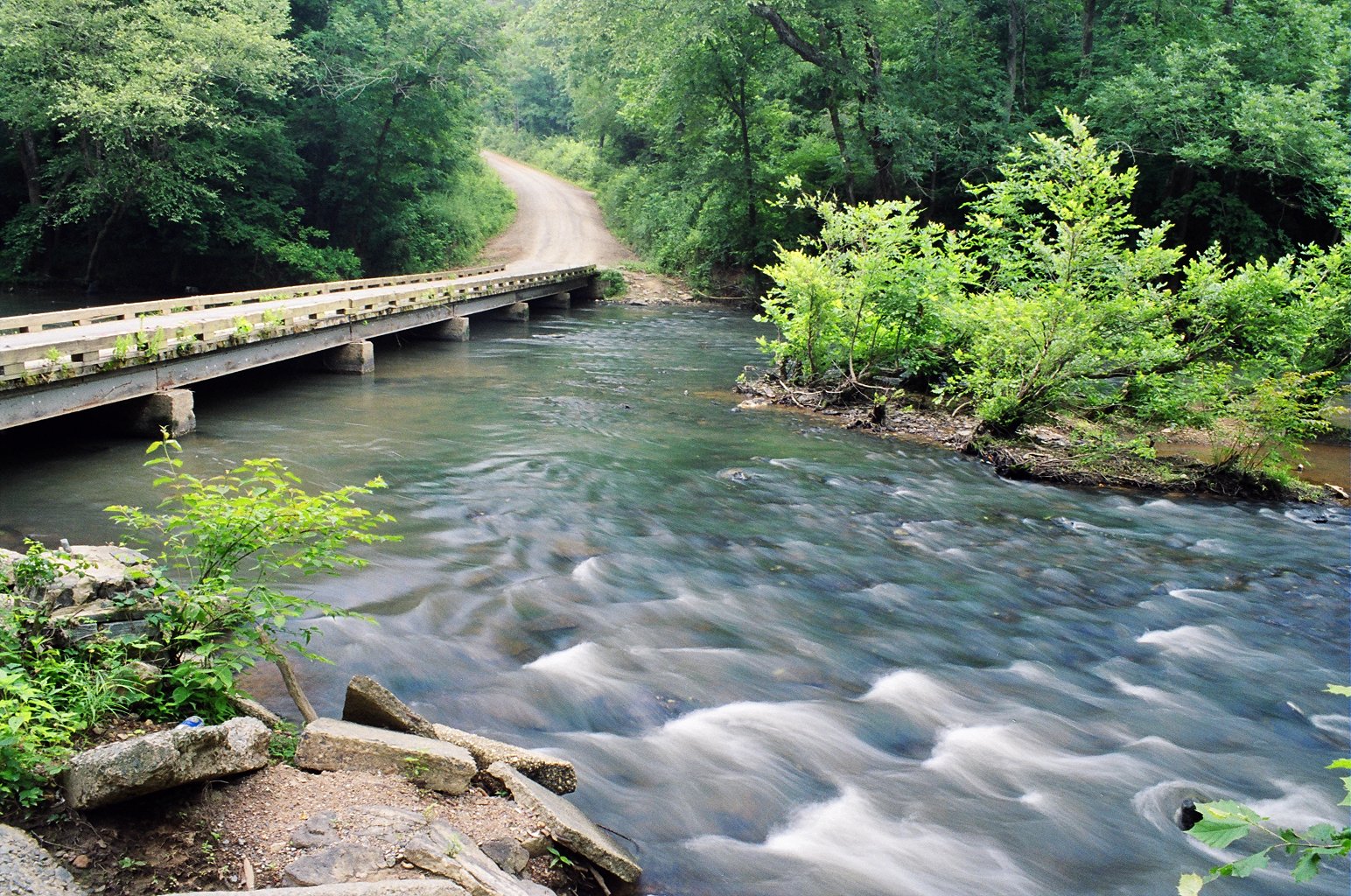 Hiking in uwharrie national forest best sale