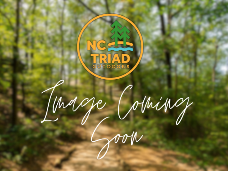 Image Coming Soon 1 768x576