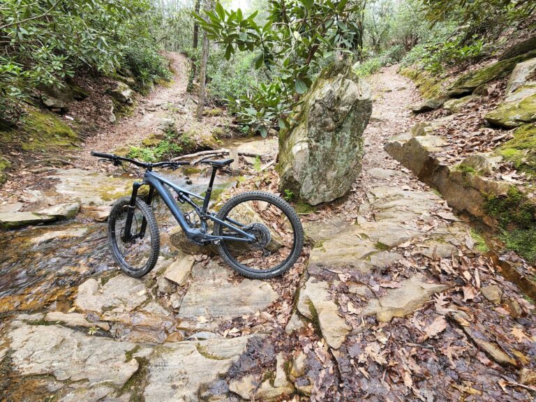 KingSnake HRSP 768x576