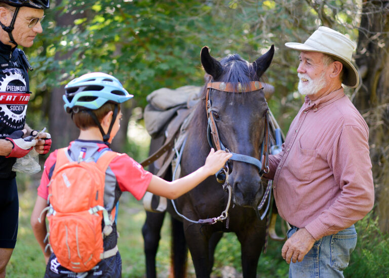 RF Jackson Horse 768x549