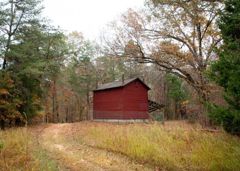 RichFork Redstructure 768x548