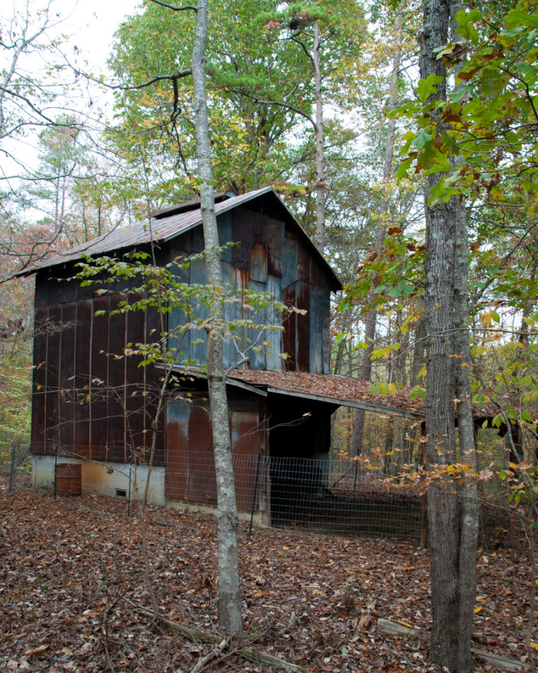 RichFork Structure 768x960