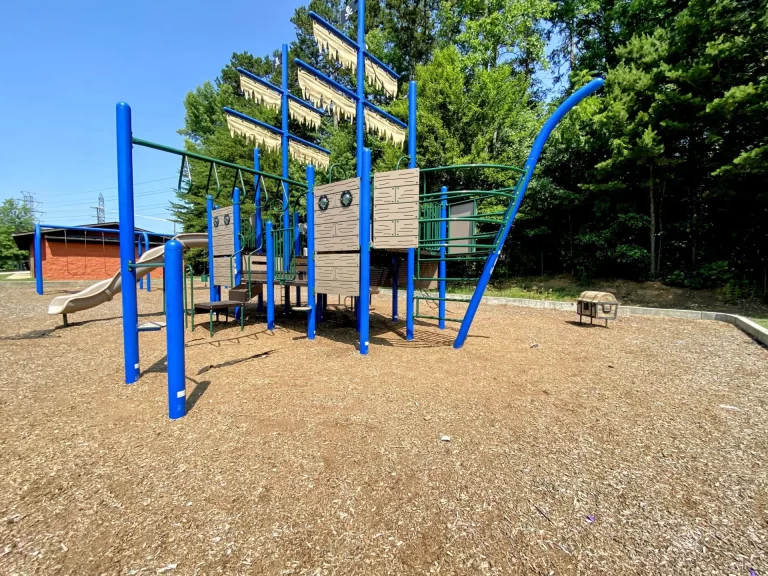 Sedge Garden Park Playground Ship Winston Salem 768x576