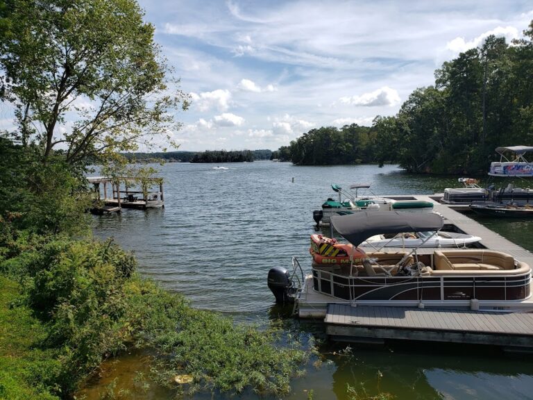 badkin lake lake forest 768x576