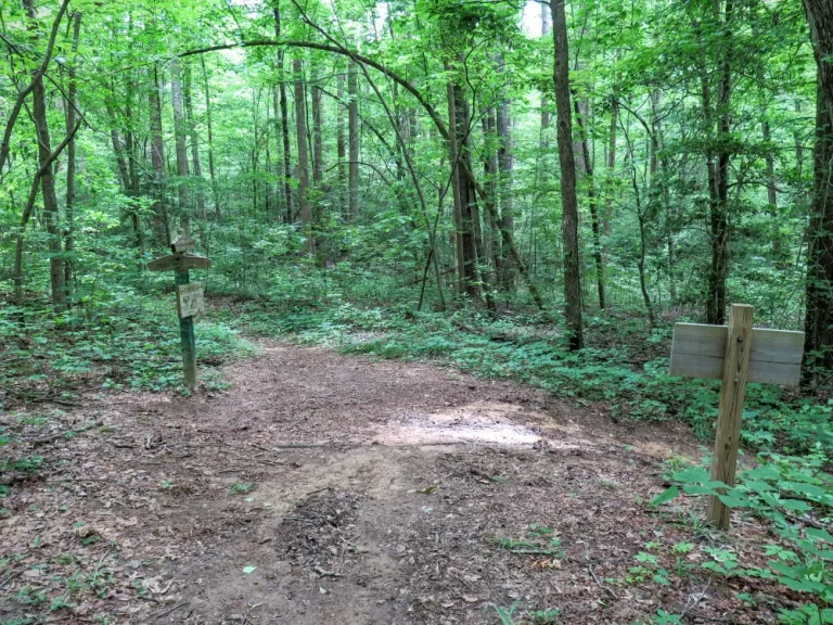 birkheadtrail 768x576