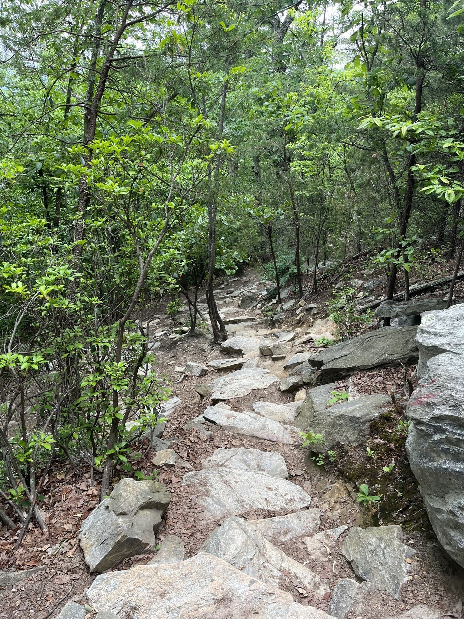 hanging rock trail
