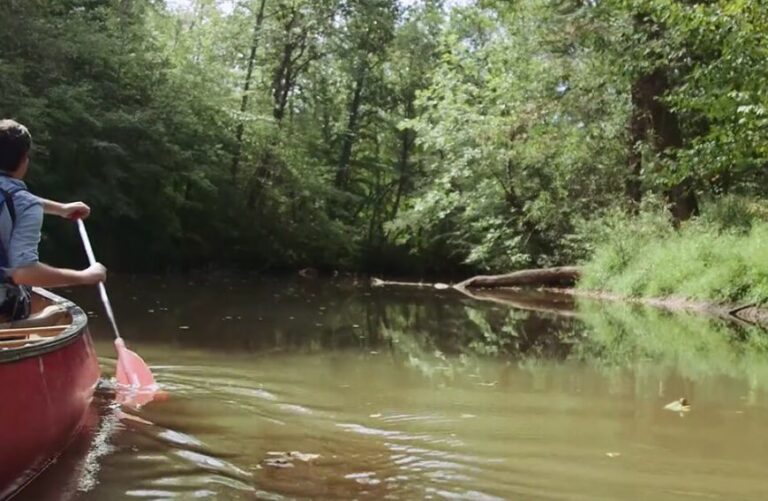 haw river canoe 768x501