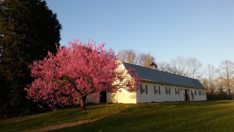 julianne farms 768x432