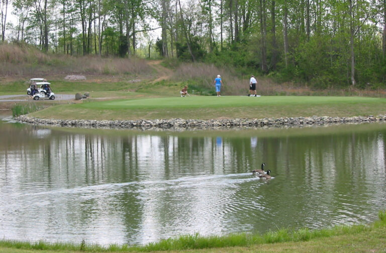 quaker creek 2 768x504