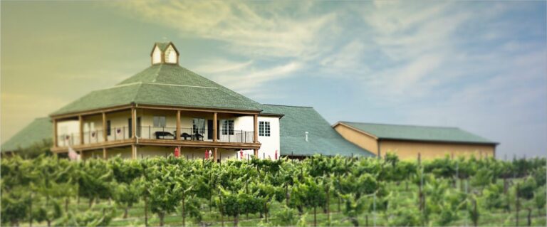 raylen vineyards 768x319