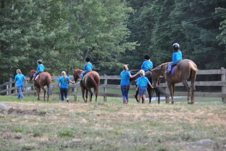 rocky knoll stables 768x511