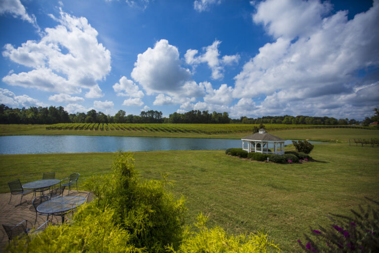 shadow springs 768x512