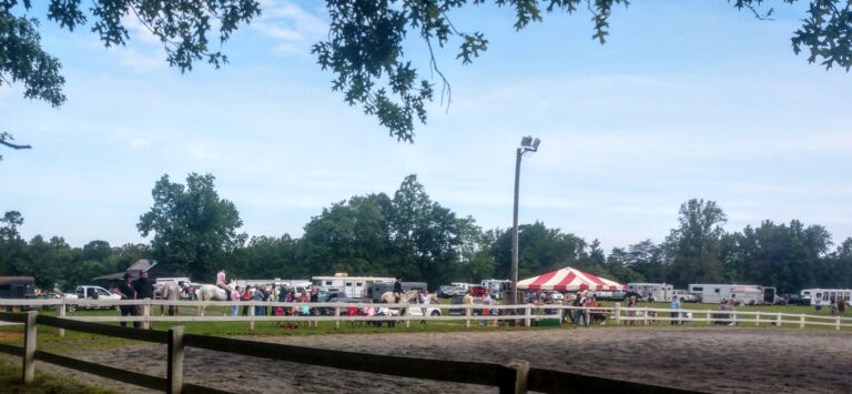 steeple hill 768x355