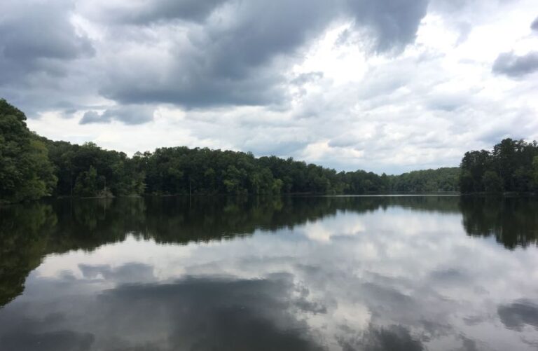 stoney creek 768x501