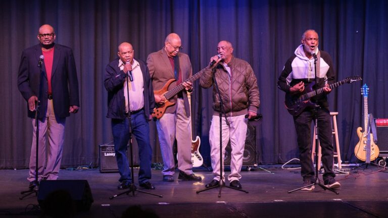 surry arts council 768x432