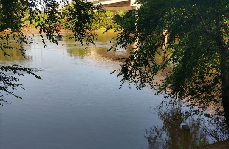 tanglewood river access 768x501