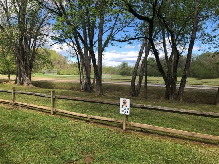 tharrington park 768x576