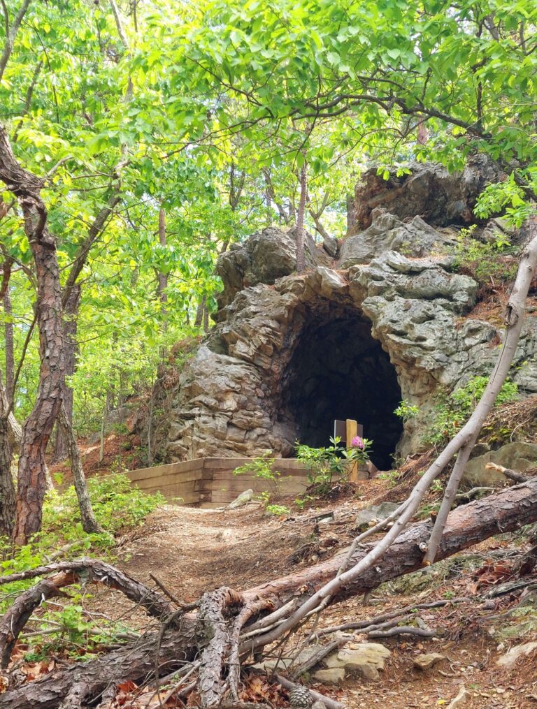 torysdencave 768x1015