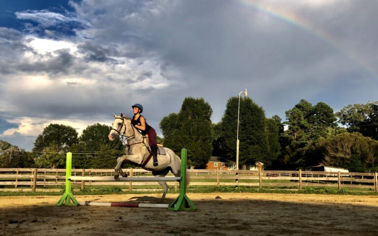 woodlawn stables 768x480