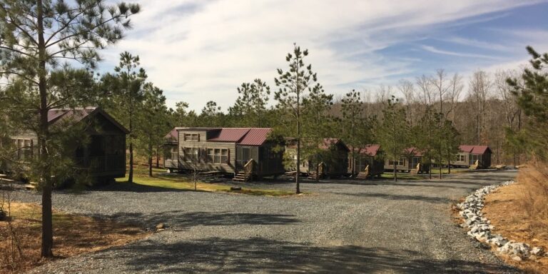 yogi bears jellystone park 768x384