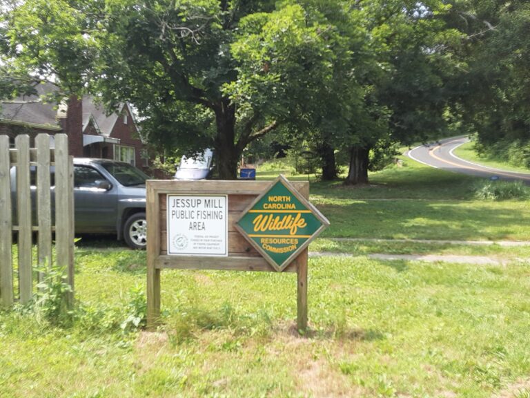 20210707 114342 768x576