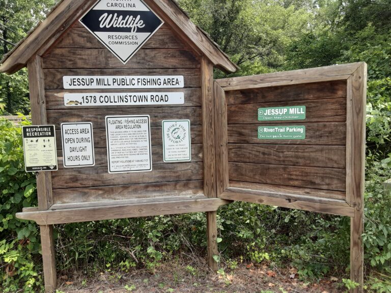 20210707 114405 768x576