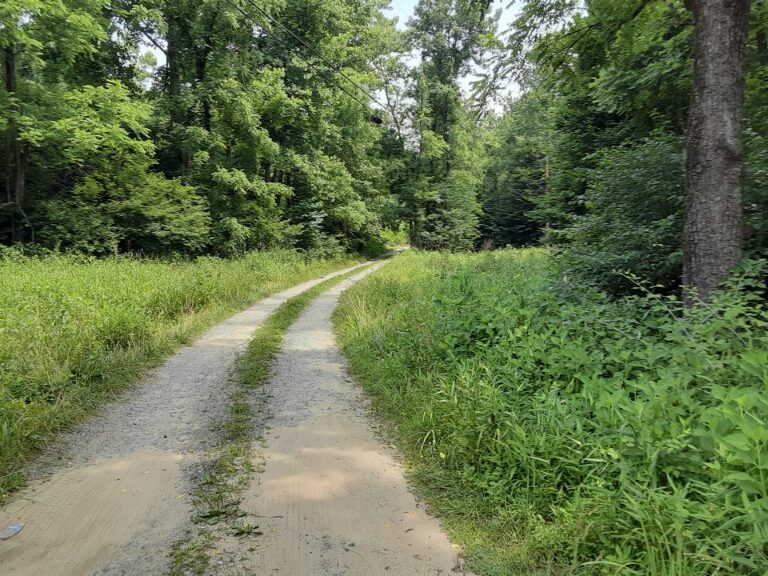 20210707 120709 768x576