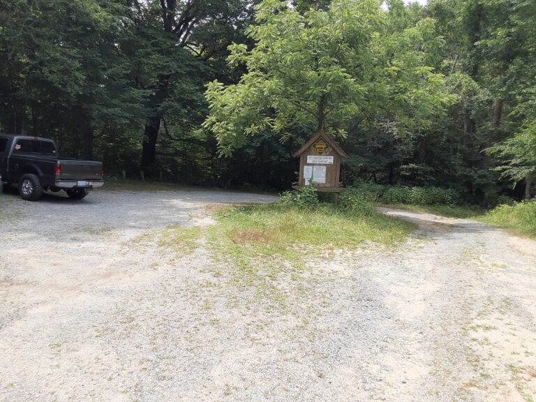 20210707 120718 768x576