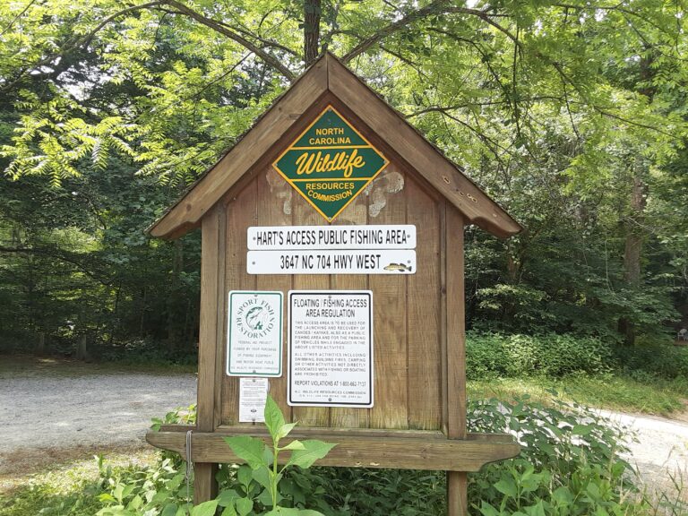 20210707 120731 768x576