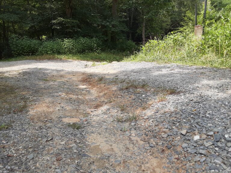 20210707 120748 768x576