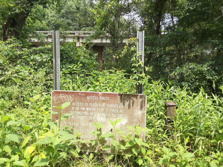 20210707 120759 768x576