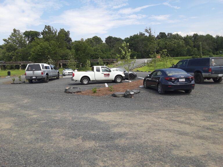 20210707 153723 768x576